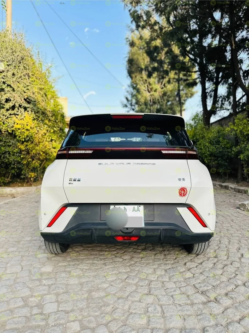 2024 Model-BYD Seagull