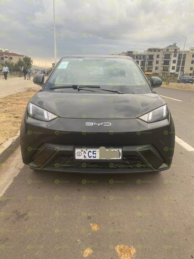 2024 Model-BYD Seagull