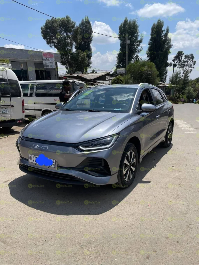 2025 Model-BYD e2