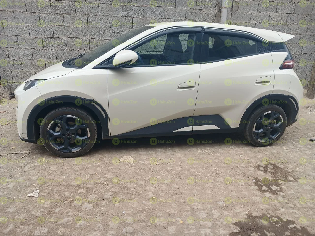 2025 Model-BYD Seagull