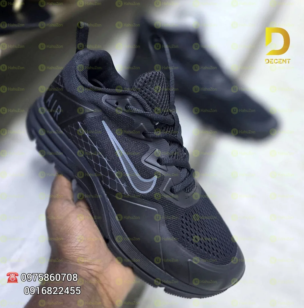 Nike Pegasus Men's Shoes