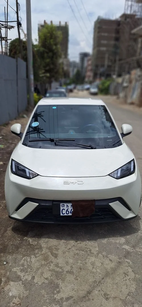 2024 Model-BYD Sagul