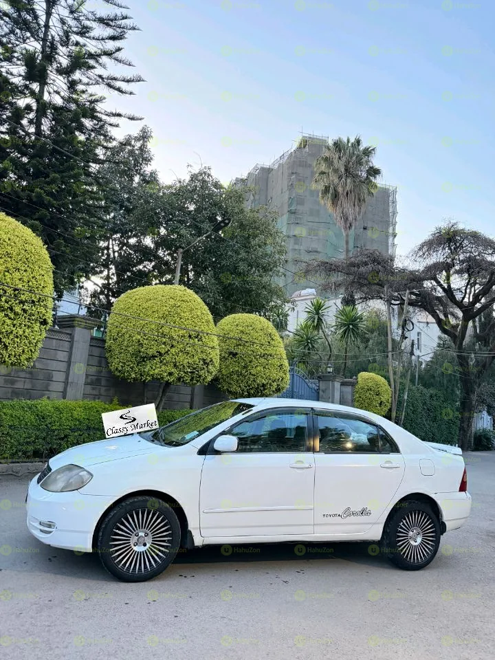 2003 Model-Toyota Corolla