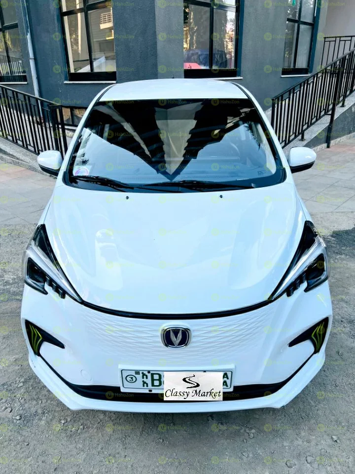 2020 Model-Changan Benben E-Star