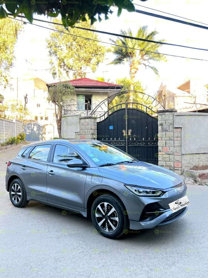2024 Model-BYD E2