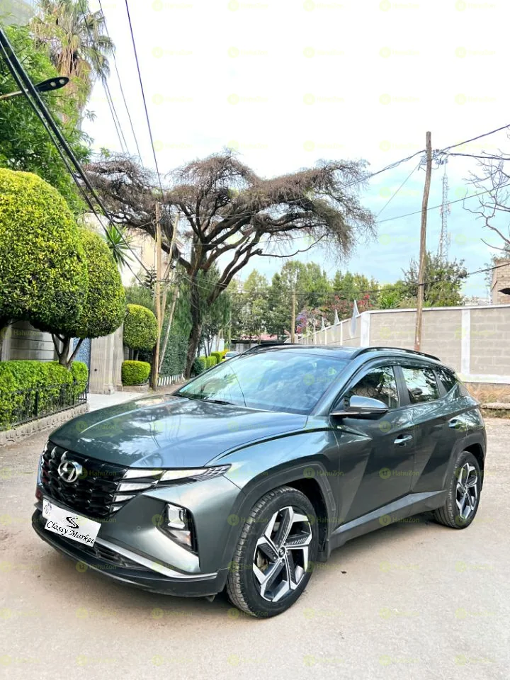 2021 Model-Hyundai Tucson