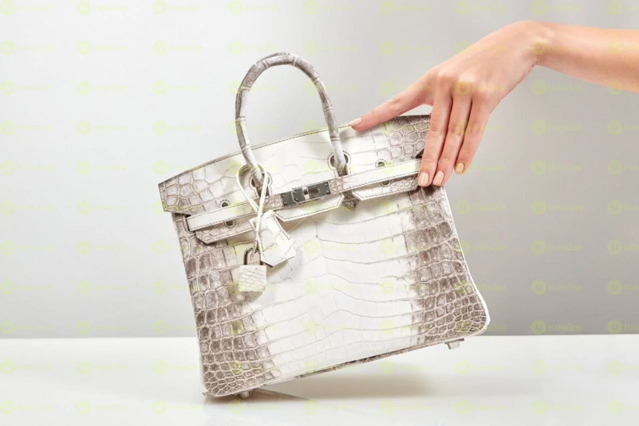 Hermes Birkin Himalaya