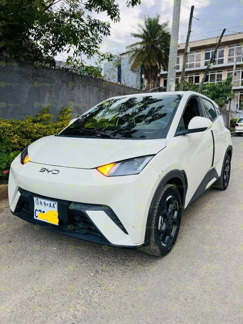 2025 Model- BYD Sagul