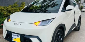 2025 Model- BYD Sagul