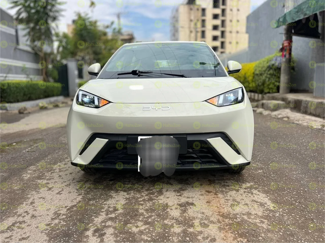 2024 Model- BYD Sagul