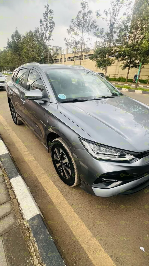 2025 Model-BYD E2