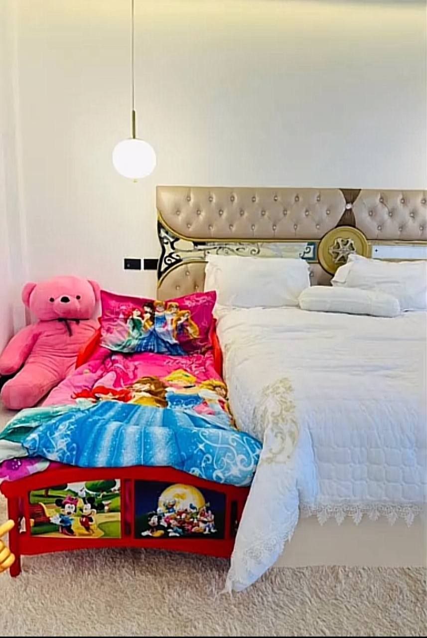 Princess Kids Bed with Canopy