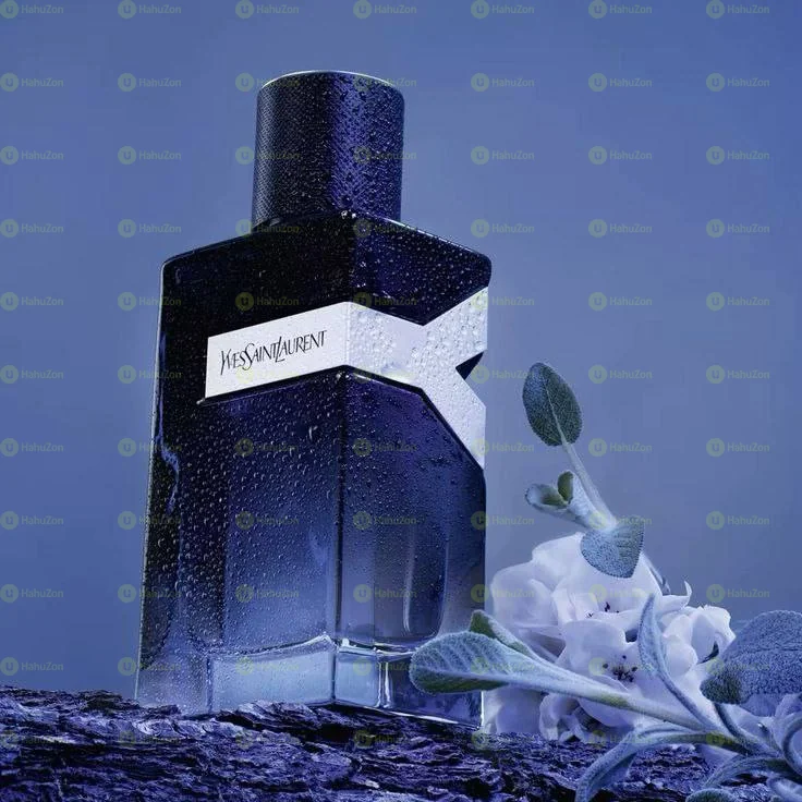 YSL Y Women's Perfume