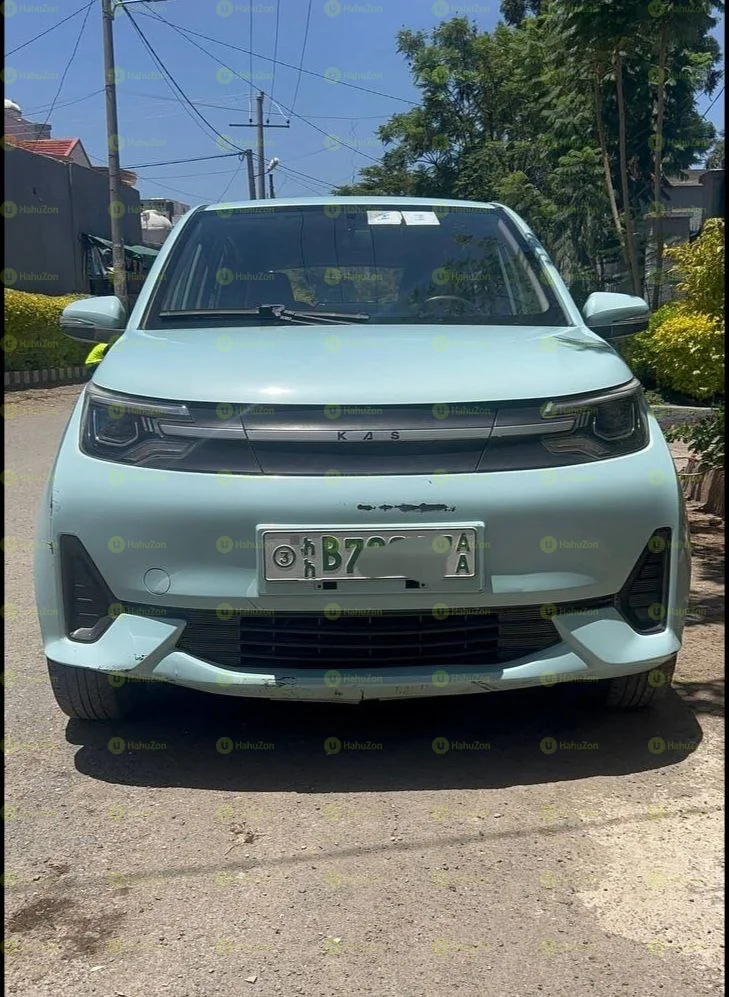 2021 Model-Kasa Electirc