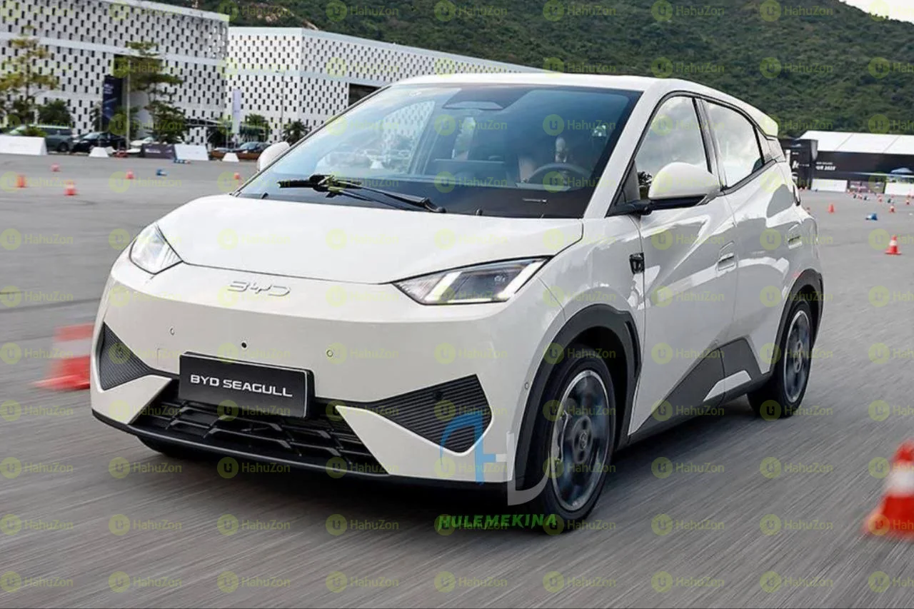 2025  Model-BYD Seagull