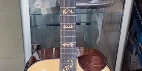 Ben J Acoustic Digital Guitar