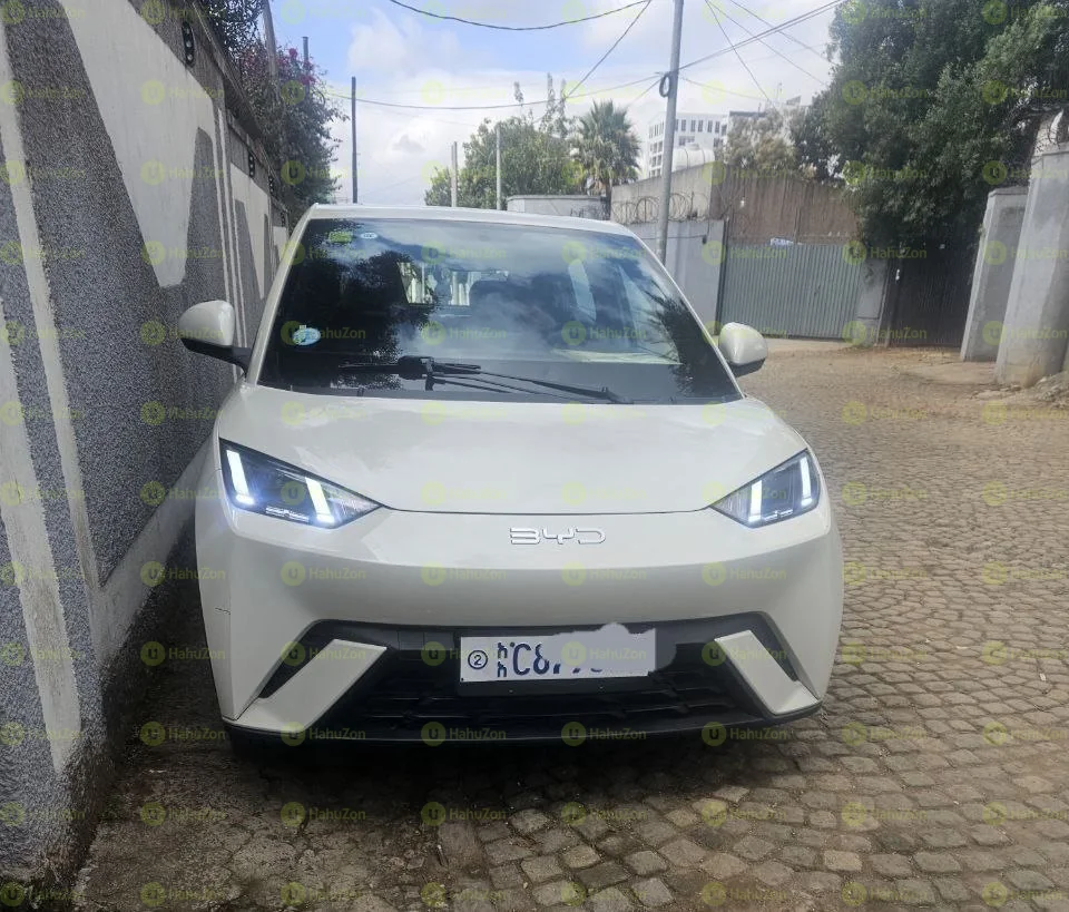 2025 Model-BYD Seagull