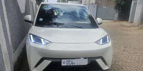 2025 Model-BYD Seagull