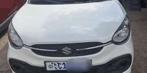 2022 Model-Suzuki Celerio
