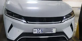 2025 Model-BYD Younup Smart
