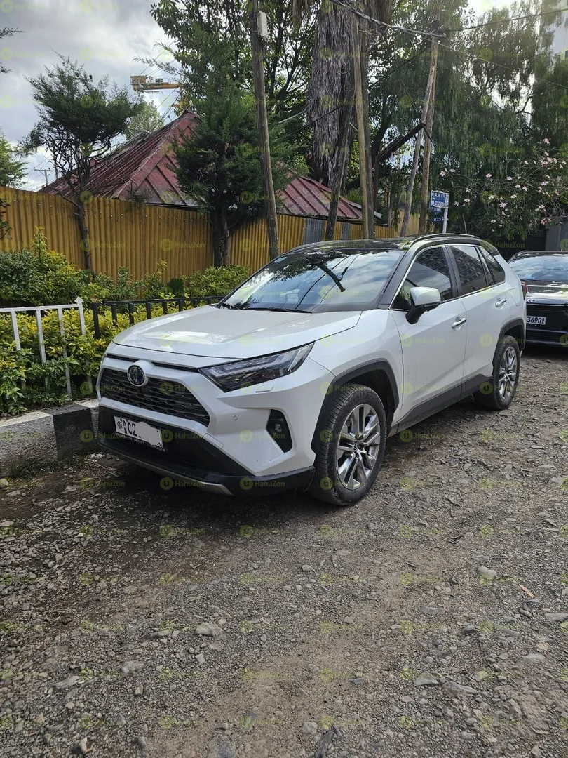 2022 Model-Toyota Rav4