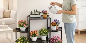 Multi-storey Flower Shelf