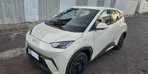 2024 Model-BYD Seagull