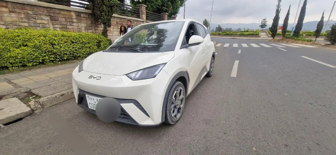 2025 Model-Suzuki Seagull
