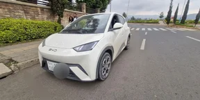 2025 Model-Suzuki Seagull