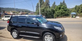 2013 Model-Toyota Landcruiser Prado