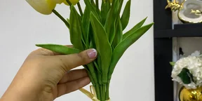 Tulip 10 Piece Flower