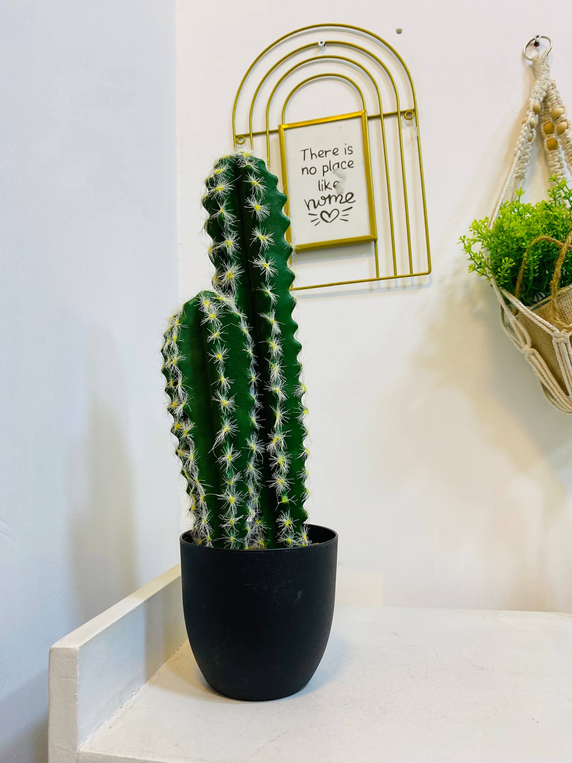 Long Artificial Cactus