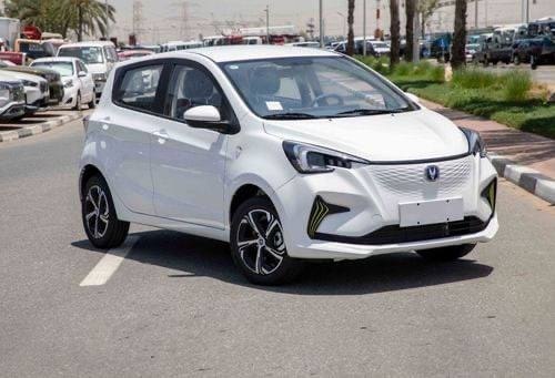 2024 Model-Changan E-star