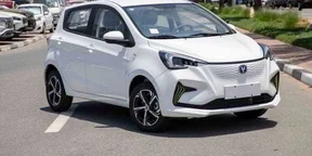2024 Model-Changan E-star