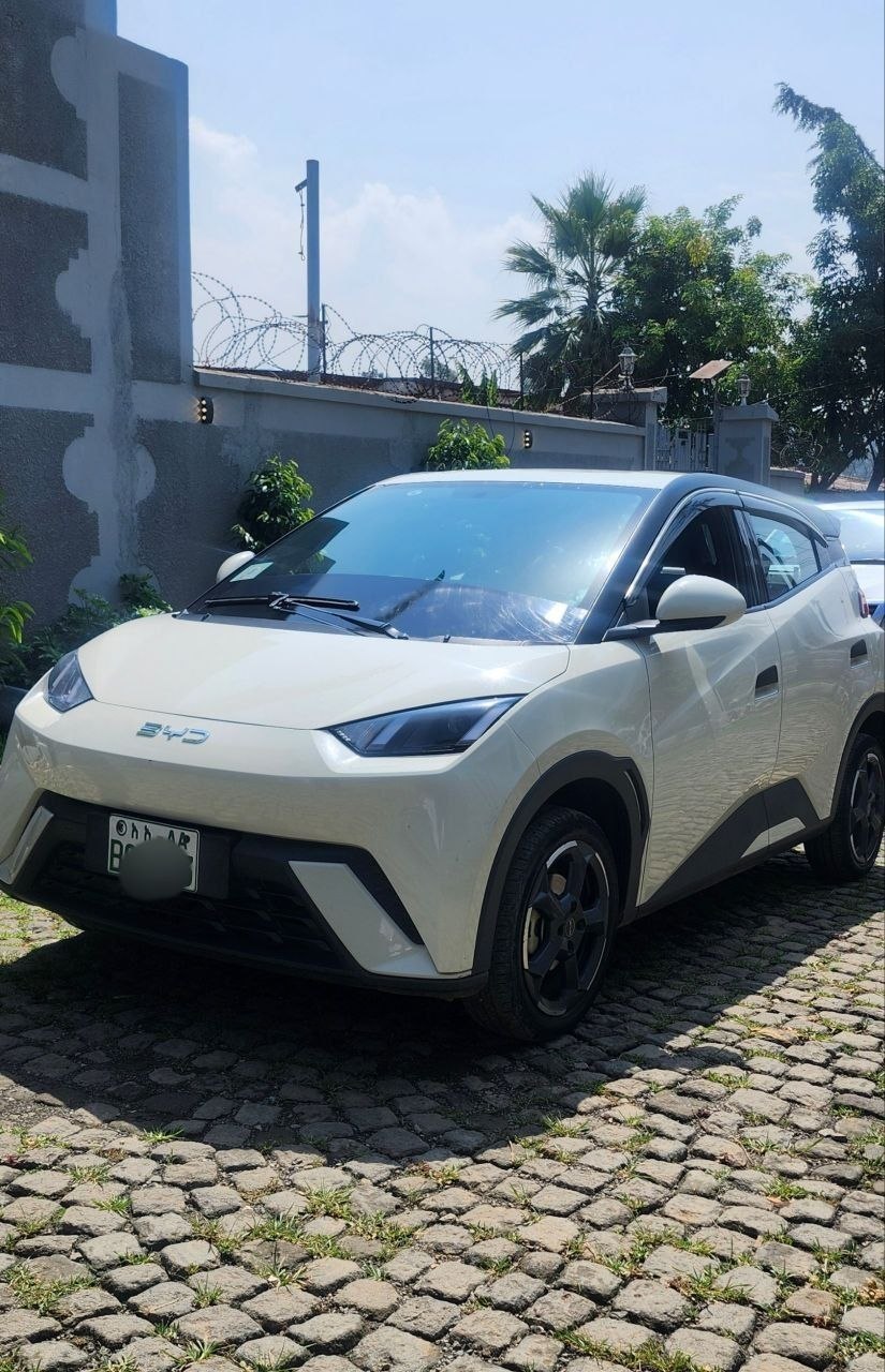 2024 Model- BYD Seagull