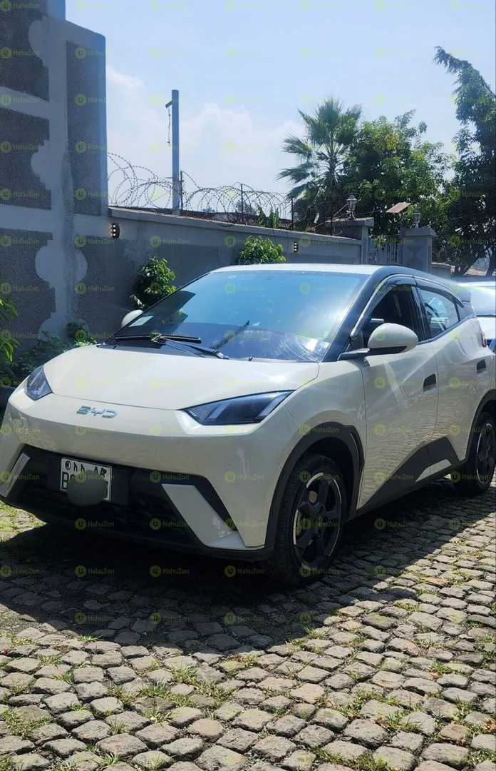 2024 Model- BYD Seagull