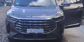 2022 Model-Jetour Cherry