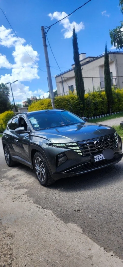 2022 Model-Hyundai Tucson