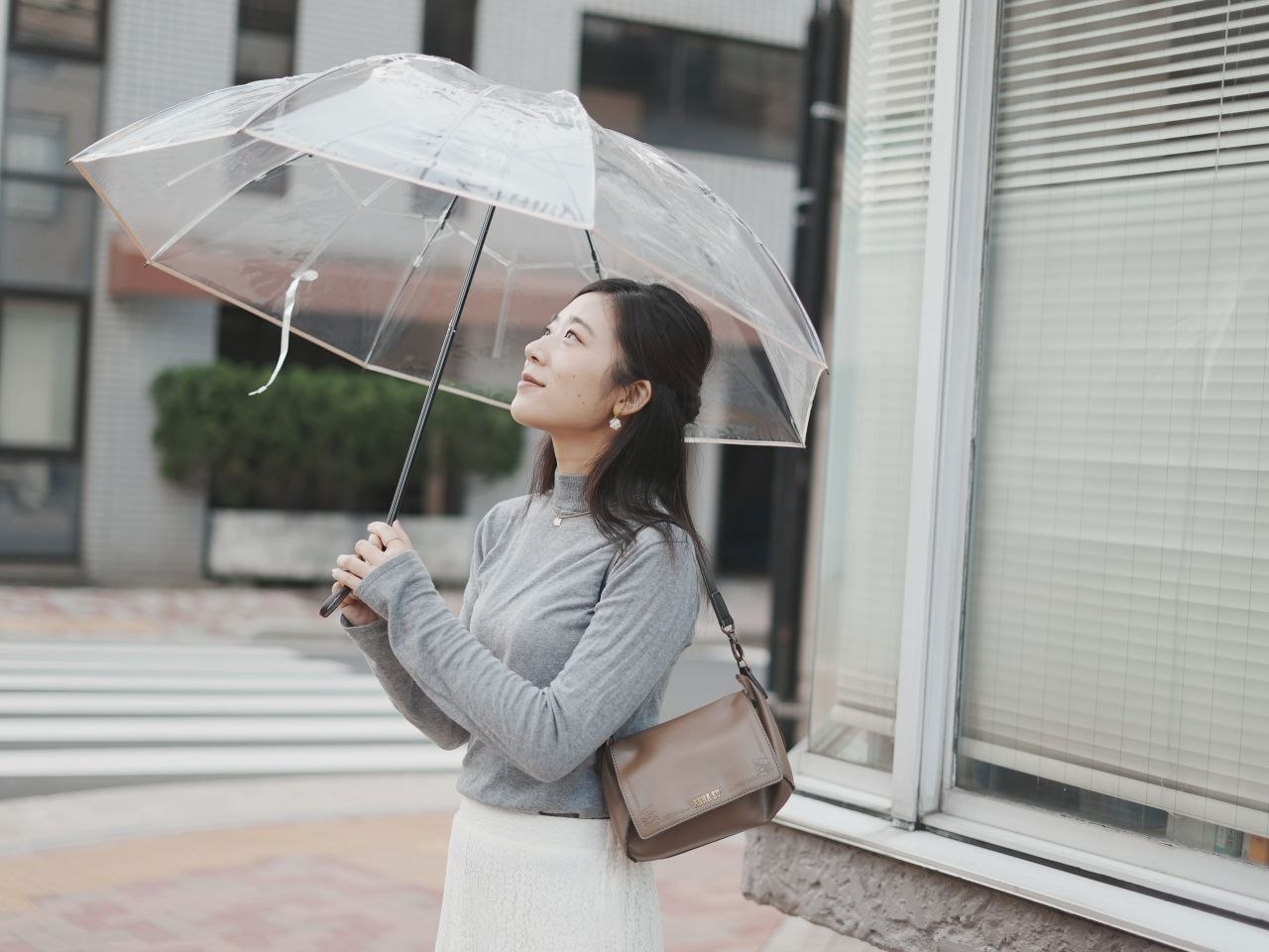 Transparent Umbrella
