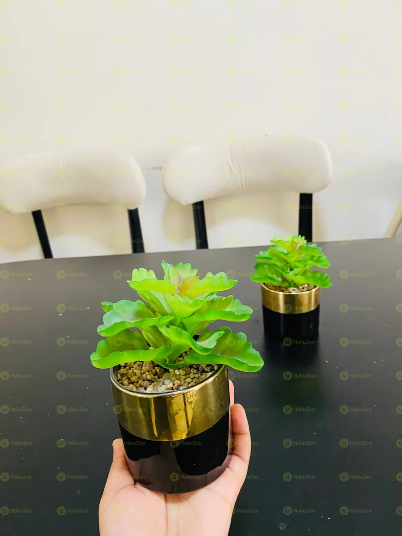 Ceramic lacBk Golden Mini Vases