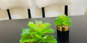 Ceramic lacBk Golden Mini Vases