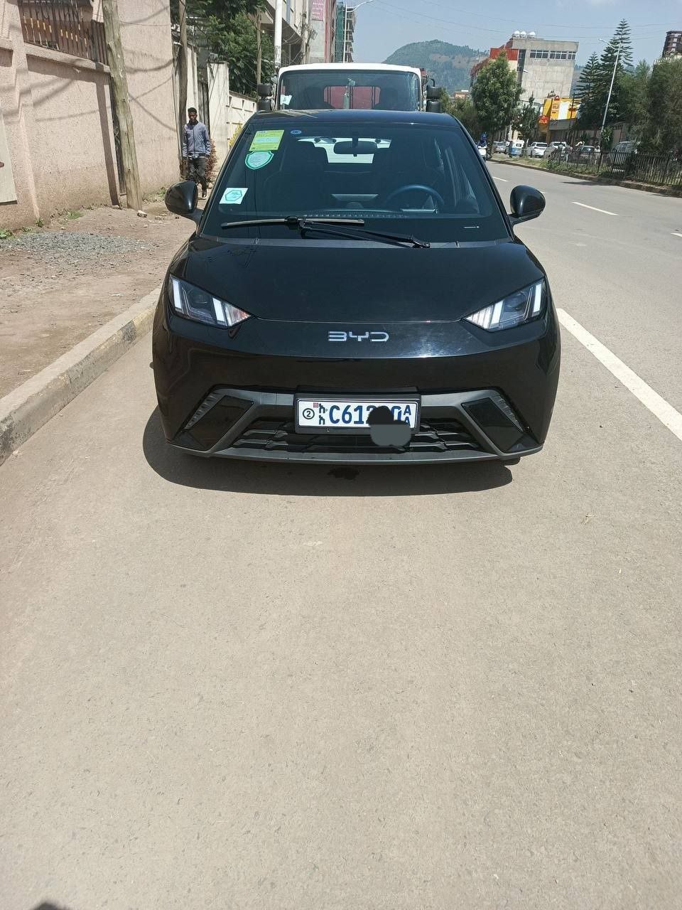 2024 Model-BYD Seagull
