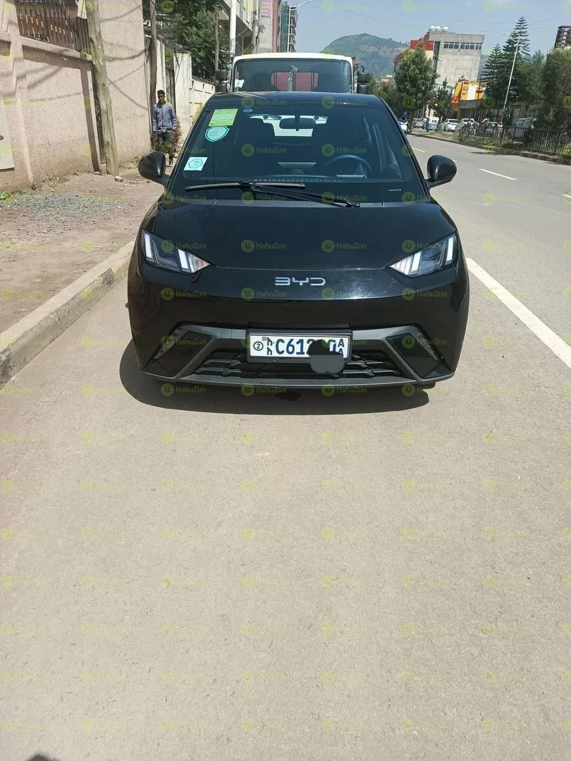 2024 Model-BYD Seagull