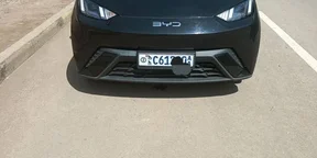 2024 Model-BYD Seagull