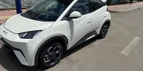 2024 Model-BYD Segull