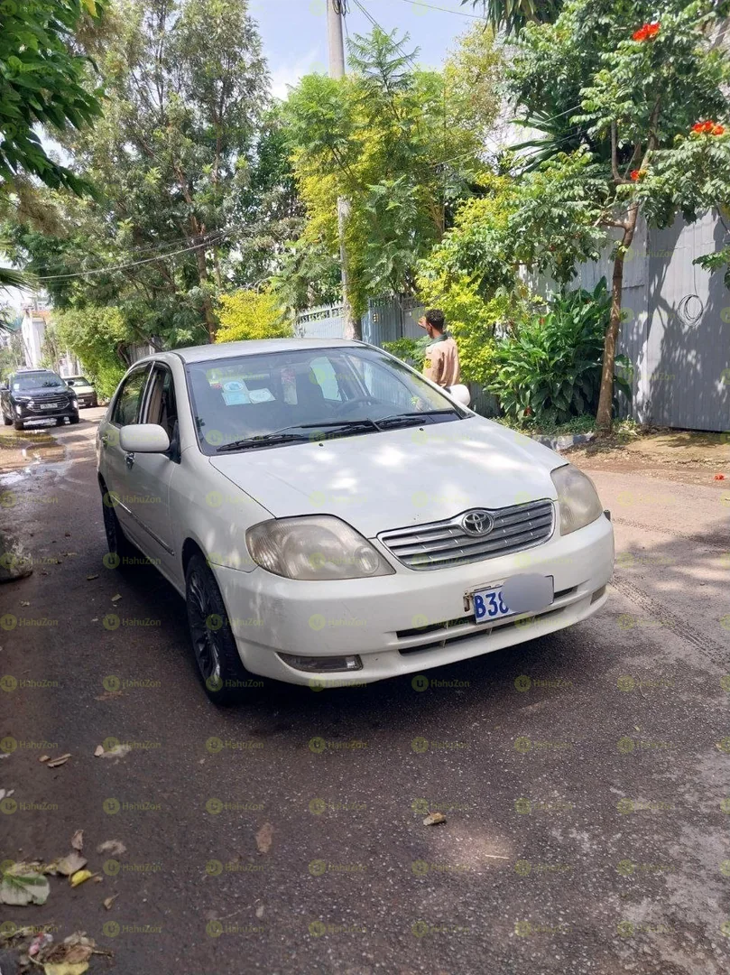 2003 Model-Toyota Corolla