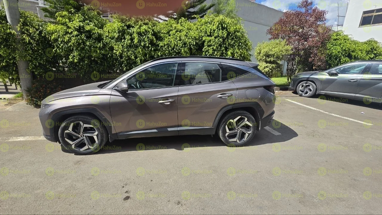 2022 Model-Hyundai Tucson
