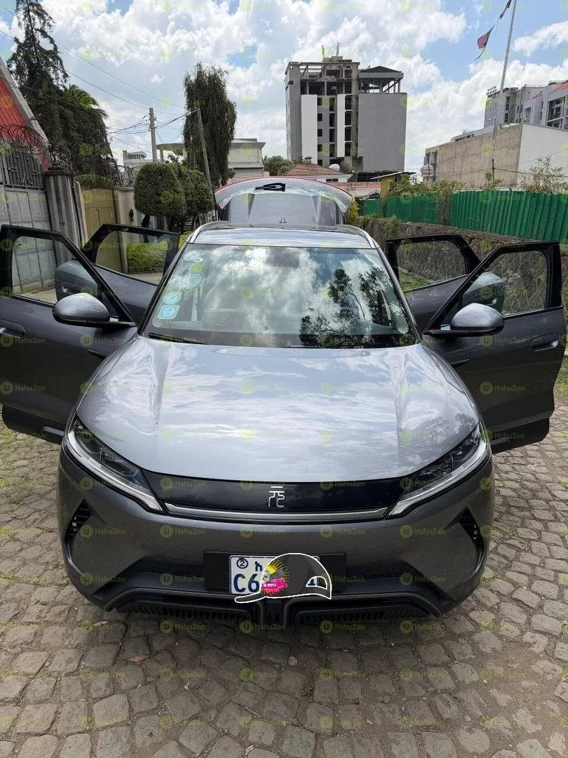2024 Model-BYD Yuan Up
