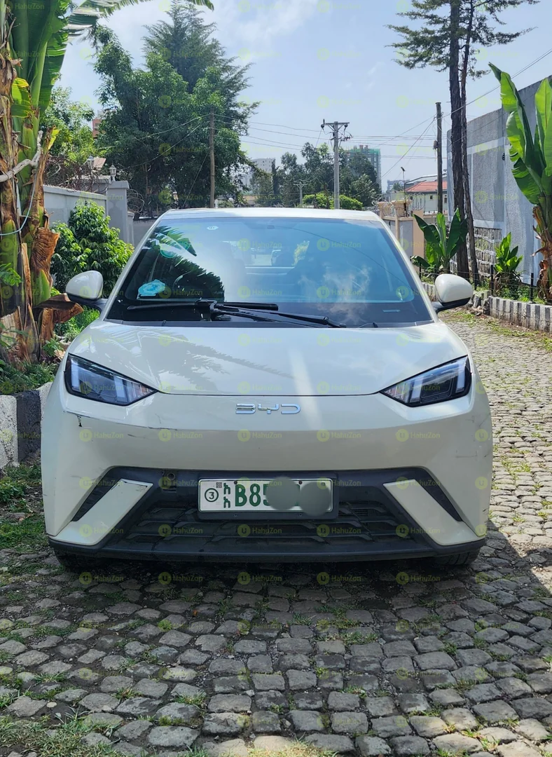 2025 Model-BYD Seagull
