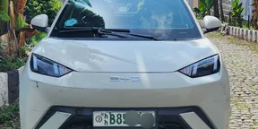 2025 Model-BYD Seagull